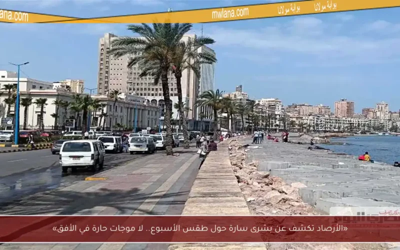 «الأرصاد تكشف عن بشرى سارة حول طقس الأسبوع.. لا موجات حارة في الأفق»