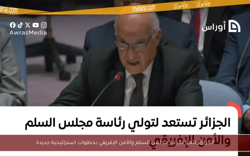 الجزائر تتهيأ لقيادة مجلس السلم والأمن الإفريقي بخطوات استراتيجية جديدة