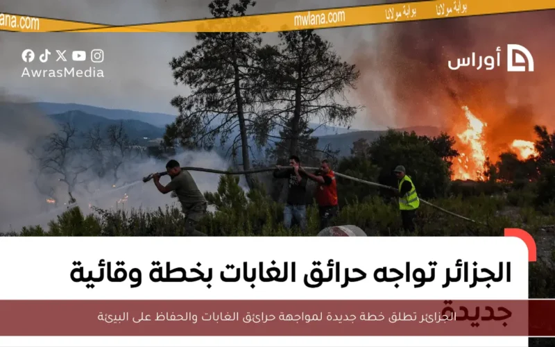 الجزائر تطلق خطة جديدة لمواجهة حرائق الغابات والحفاظ على البيئة