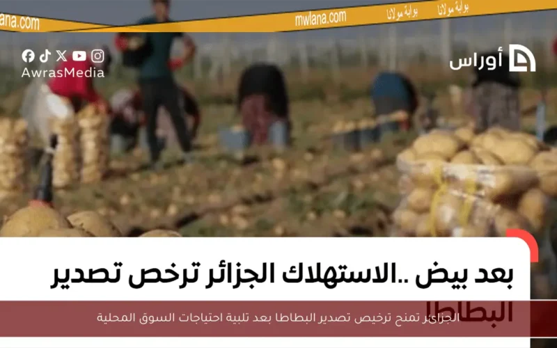 الجزائر تمنح ترخيص تصدير البطاطا بعد تلبية احتياجات السوق المحلية