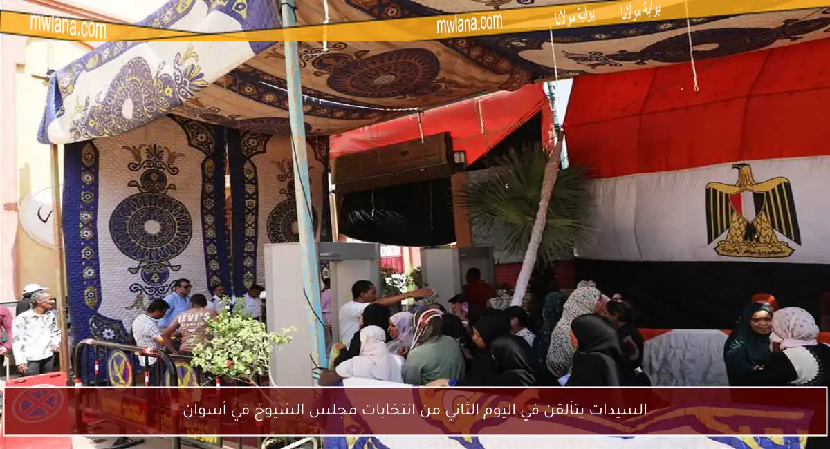 السيدات يتألقن في اليوم الثاني من انتخابات مجلس الشيوخ في أسوان