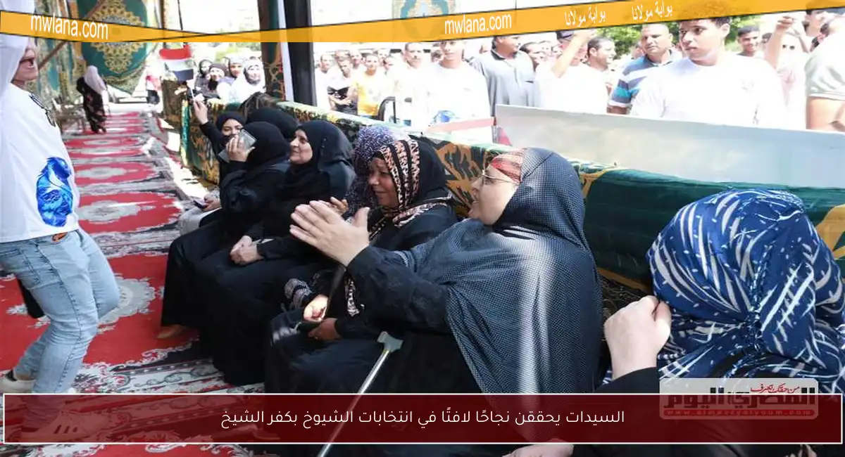 السيدات يحققن نجاحًا لافتًا في انتخابات الشيوخ بكفر الشيخ