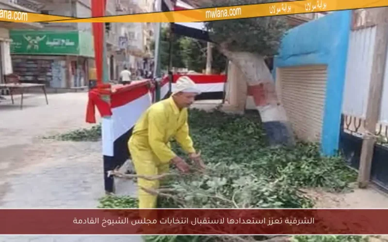 الشرقية تعزز استعدادها لاستقبال انتخابات مجلس الشيوخ القادمة