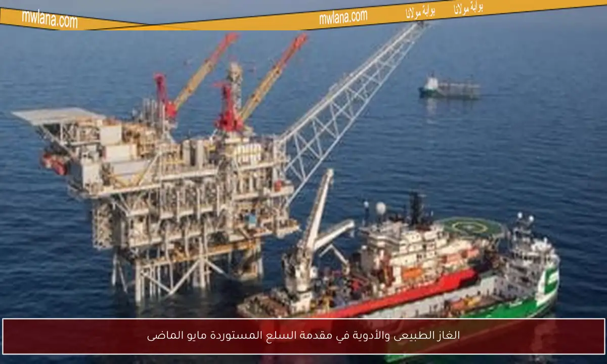 الغاز الطبيعى والأدوية في مقدمة السلع المستوردة مايو الماضى