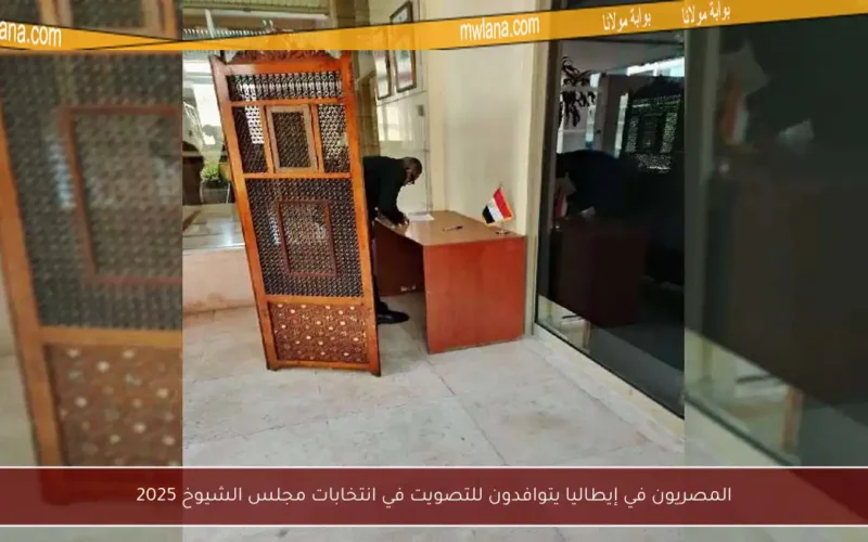 المصريون في إيطاليا يتوافدون للتصويت في انتخابات مجلس الشيوخ 2025