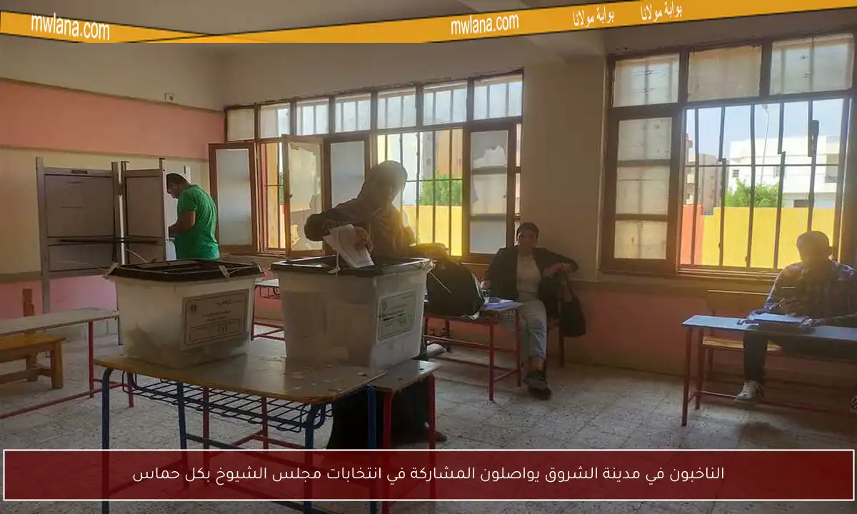 الناخبون في مدينة الشروق يواصلون المشاركة في انتخابات مجلس الشيوخ بكل حماس