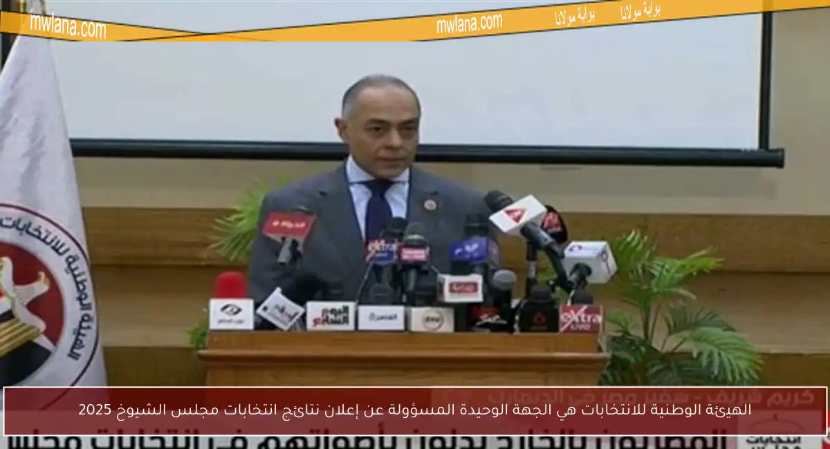 الهيئة الوطنية للانتخابات هي الجهة الوحيدة المسؤولة عن إعلان نتائج انتخابات مجلس الشيوخ 2025