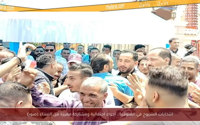 انتخابات الشيوخ في المنوفية.. أجواء احتفالية ومشاركة مميزة من النساء (صور)