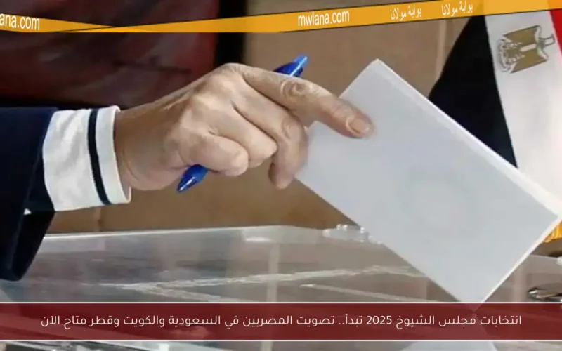 انتخابات مجلس الشيوخ 2025 تبدأ.. تصويت المصريين في السعودية والكويت وقطر متاح الآن