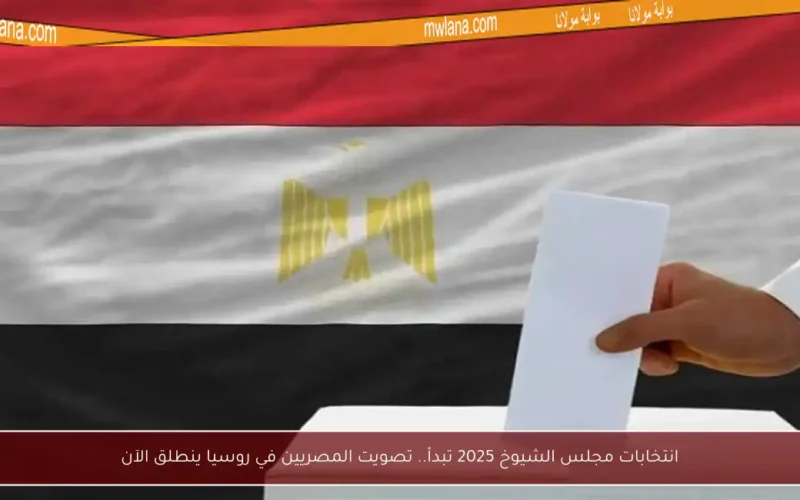 انتخابات مجلس الشيوخ 2025 تبدأ.. تصويت المصريين في روسيا ينطلق الآن