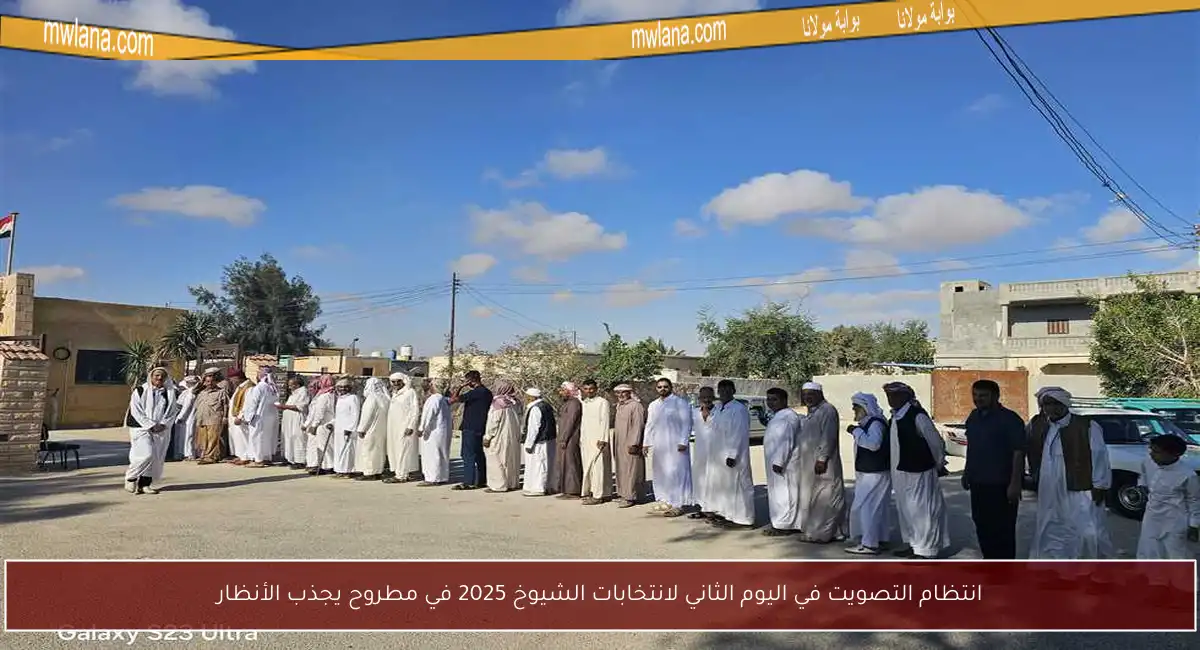انتظام التصويت في اليوم الثاني لانتخابات الشيوخ 2025 في مطروح يجذب الأنظار