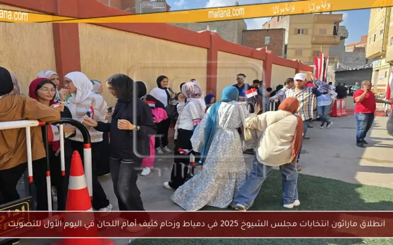 انطلاق ماراثون انتخابات مجلس الشيوخ 2025 في دمياط وزحام كثيف أمام اللجان في اليوم الأول للتصويت