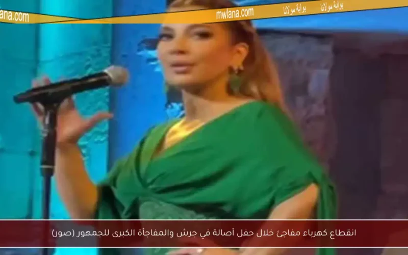 انقطاع كهرباء مفاجئ خلال حفل أصالة في جرش والمفاجأة الكبرى للجمهور (صور)