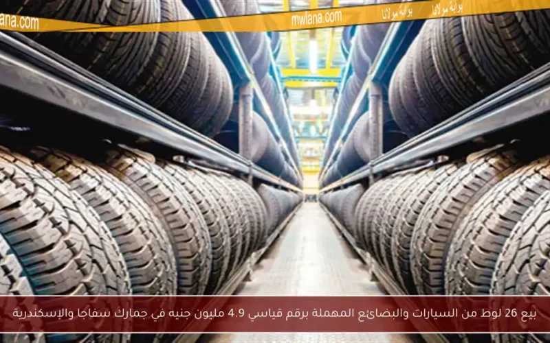 بيع 26 لوط من السيارات والبضائع المهملة برقم قياسي 4.9 مليون جنيه في جمارك سفاجا والإسكندرية