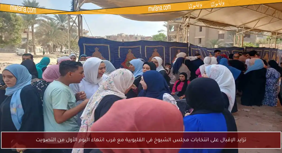 تزايد الإقبال على انتخابات مجلس الشيوخ في القليوبية مع قرب انتهاء اليوم الأول من التصويت