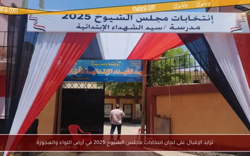 تزايد الإقبال على لجان انتخابات مجلس الشيوخ 2025 في أرض اللواء والعجوزة