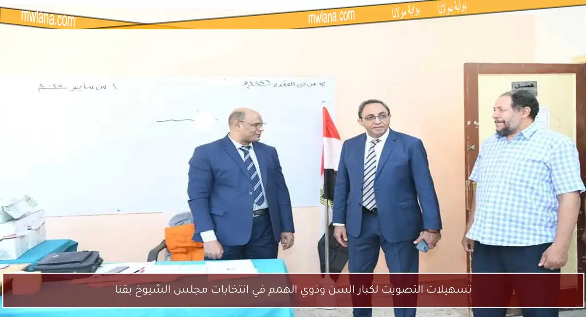 تسهيلات التصويت لكبار السن وذوي الهمم في انتخابات مجلس الشيوخ بقنا