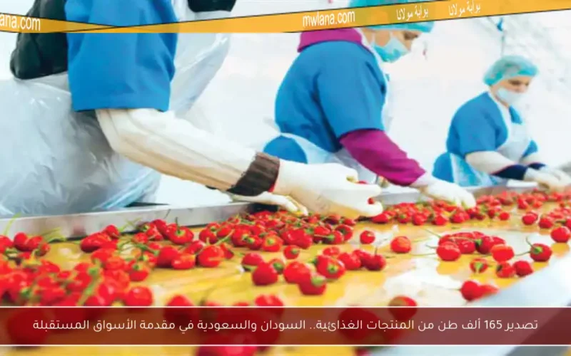 تصدير 165 ألف طن من المنتجات الغذائية.. السودان والسعودية في مقدمة الأسواق المستقبلة
