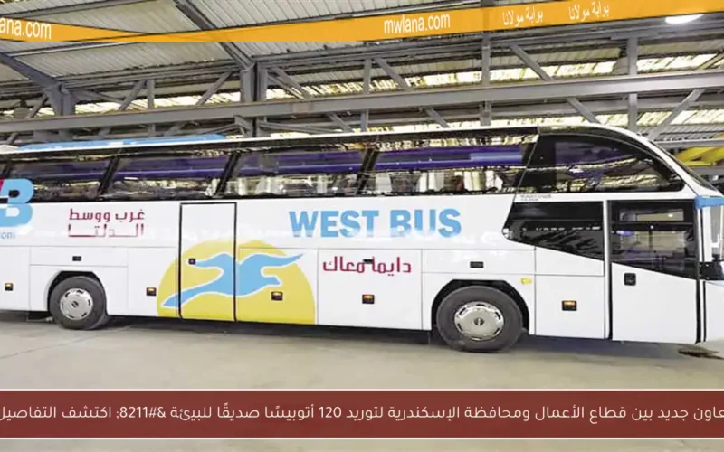 تعاون جديد بين قطاع الأعمال ومحافظة الإسكندرية لتوريد 120 أتوبيسًا صديقًا للبيئة – اكتشف التفاصيل!