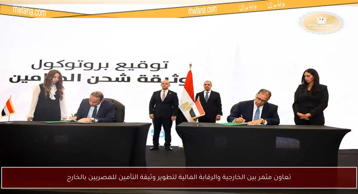 تعاون مثمر بين الخارجية والرقابة المالية لتطوير وثيقة التأمين للمصريين بالخارج