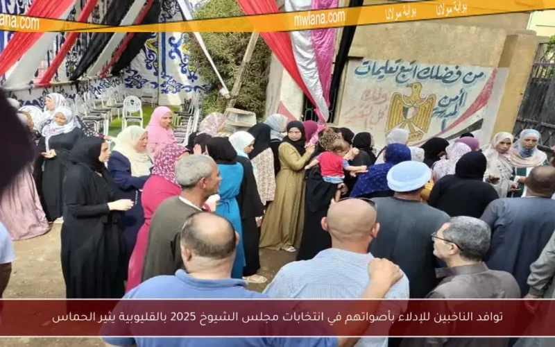 توافد الناخبين للإدلاء بأصواتهم في انتخابات مجلس الشيوخ 2025 بالقليوبية يثير الحماس