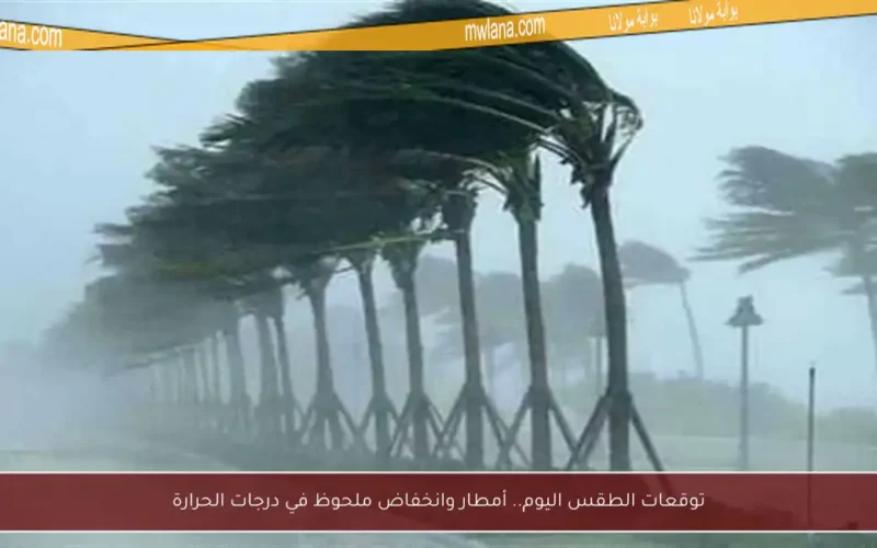 توقعات الطقس اليوم.. أمطار وانخفاض ملحوظ في درجات الحرارة