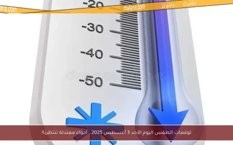 توقعات الطقس اليوم الأحد 3 أغسطس 2025.. أجواء معتدلة تنتظرنا!