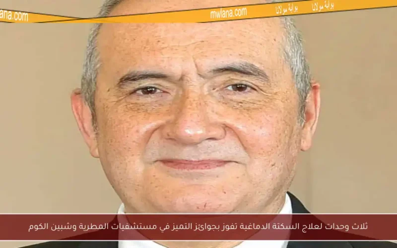 ثلاث وحدات لعلاج السكتة الدماغية تفوز بجوائز التميز في مستشفيات المطرية وشبين الكوم