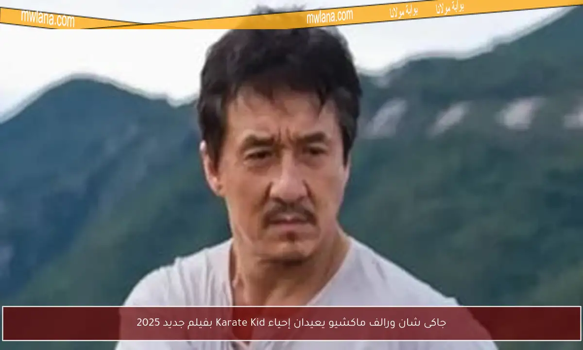 جاكى شان ورالف ماكشيو يعيدان إحياء Karate Kid بفيلم جديد 2025