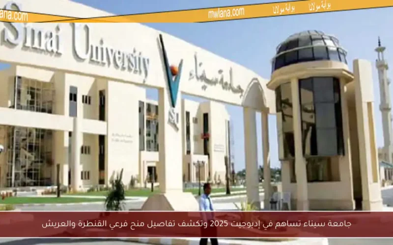 جامعة سيناء تساهم في إديوجيت 2025 وتكشف تفاصيل منح فرعي القنطرة والعريش