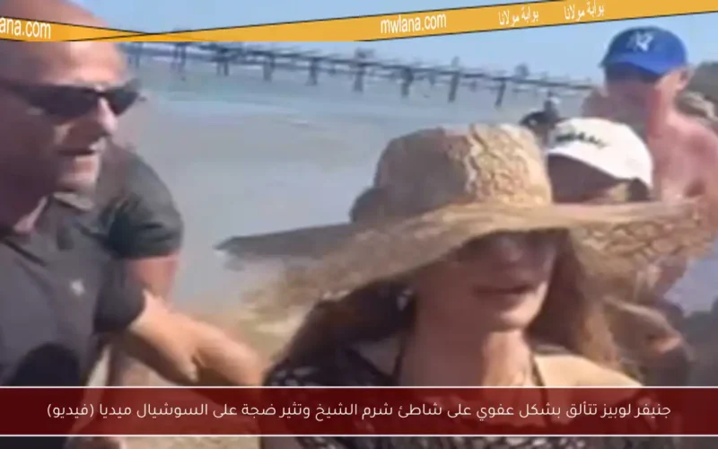 جنيفر لوبيز تتألق بشكل عفوي على شاطئ شرم الشيخ وتثير ضجة على السوشيال ميديا (فيديو)