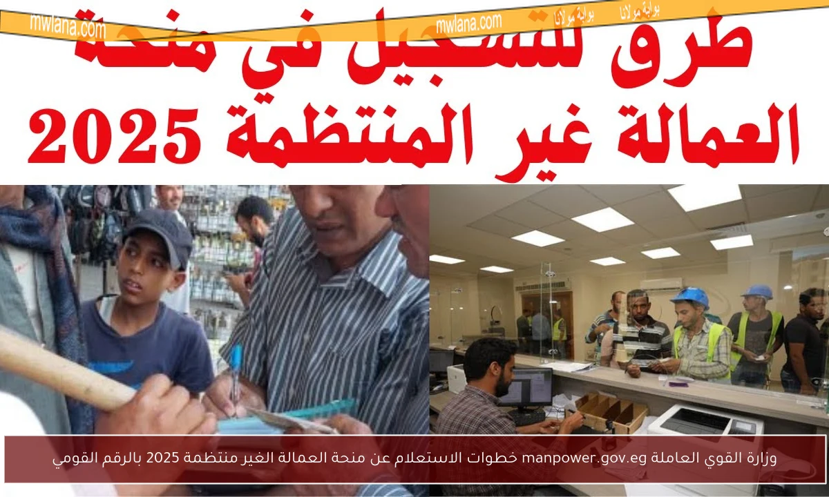 وزارة القوي العاملة manpower.gov.eg خطوات الاستعلام عن منحة العمالة الغير منتظمة 2025 بالرقم القومي
