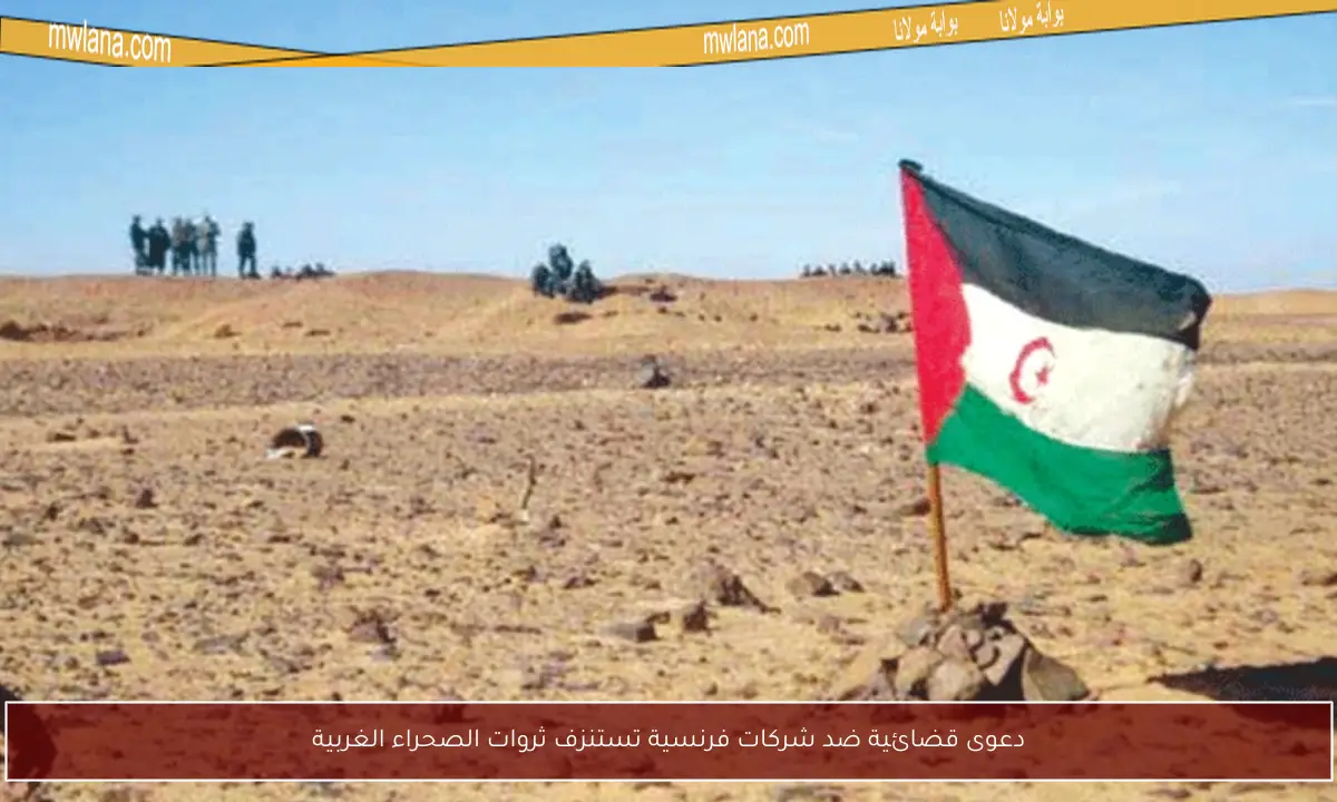 دعوى قضائية ضد شركات فرنسية تستنزف ثروات الصحراء الغربية