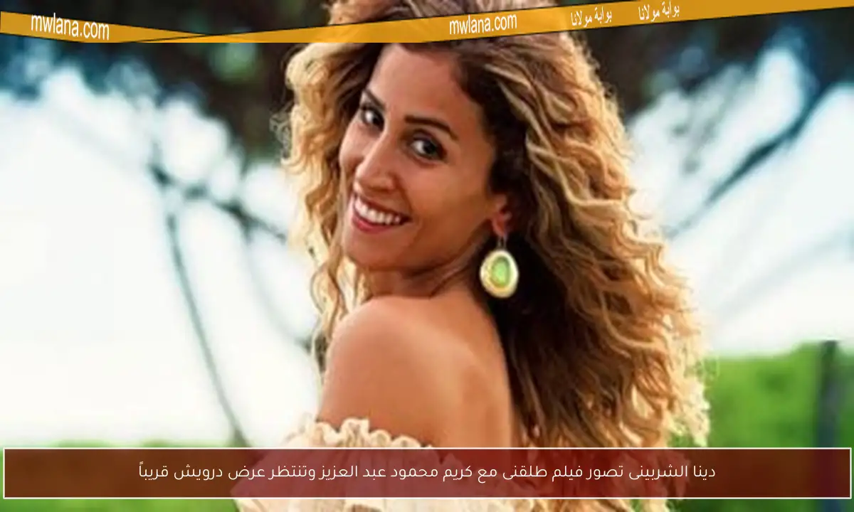 دينا الشربينى تصور فيلم طلقنى مع كريم محمود عبد العزيز وتنتظر عرض درويش قريباً