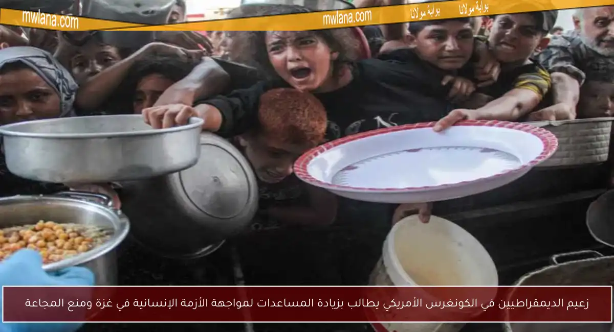 زعيم الديمقراطيين في الكونغرس الأمريكي يطالب بزيادة المساعدات لمواجهة الأزمة الإنسانية في غزة ومنع المجاعة