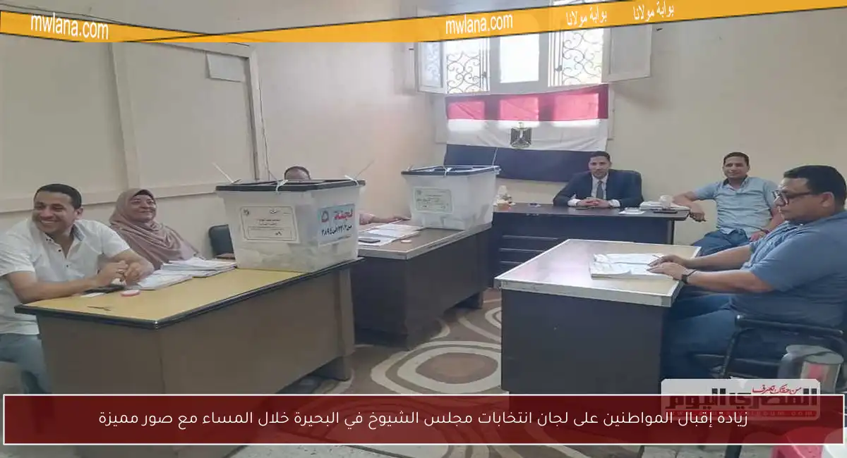 زيادة إقبال المواطنين على لجان انتخابات مجلس الشيوخ في البحيرة خلال المساء مع صور مميزة
