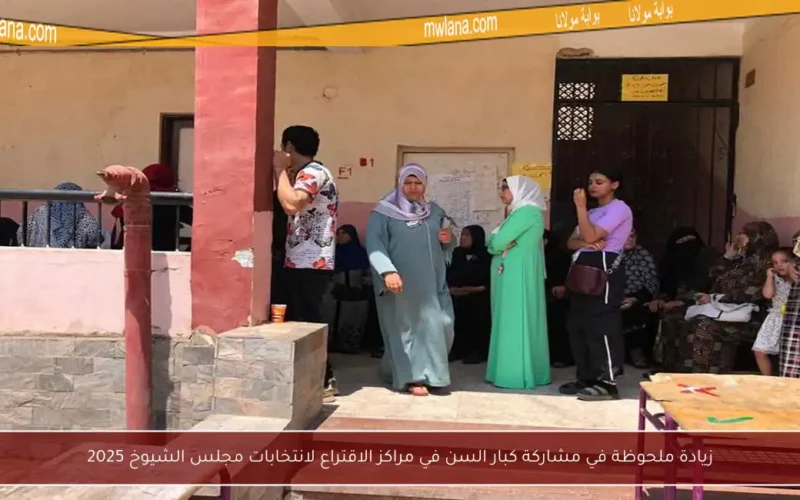 زيادة ملحوظة في مشاركة كبار السن في مراكز الاقتراع لانتخابات مجلس الشيوخ 2025