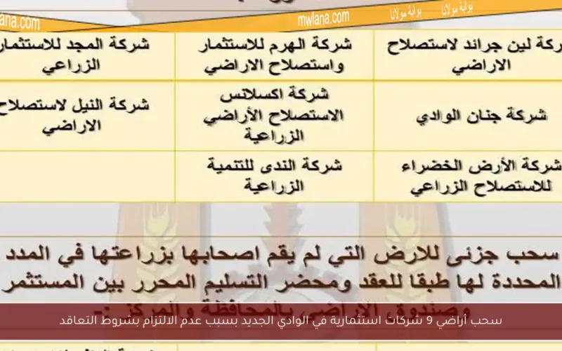 سحب أراضي 9 شركات استثمارية في الوادي الجديد بسبب عدم الالتزام بشروط التعاقد