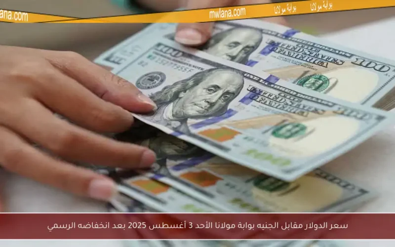 سعر الدولار مقابل الجنيه بوابة مولانا الأحد 3 أغسطس 2025 بعد انخفاضه الرسمي