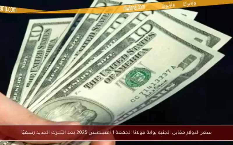 سعر الدولار مقابل الجنيه بوابة مولانا الجمعة 1 أغسطس 2025 بعد التحرك الجديد رسميًا