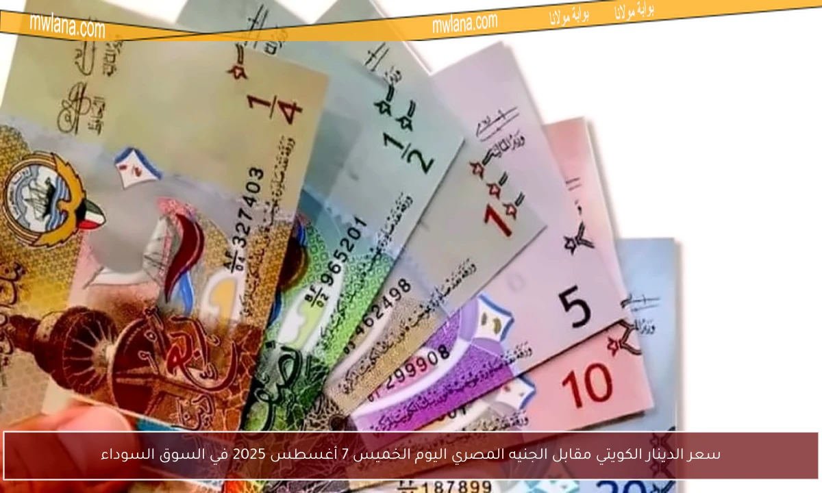 سعر الدينار الكويتي مقابل الجنيه المصري اليوم الخميس 7 أغسطس 2025 في السوق السوداء