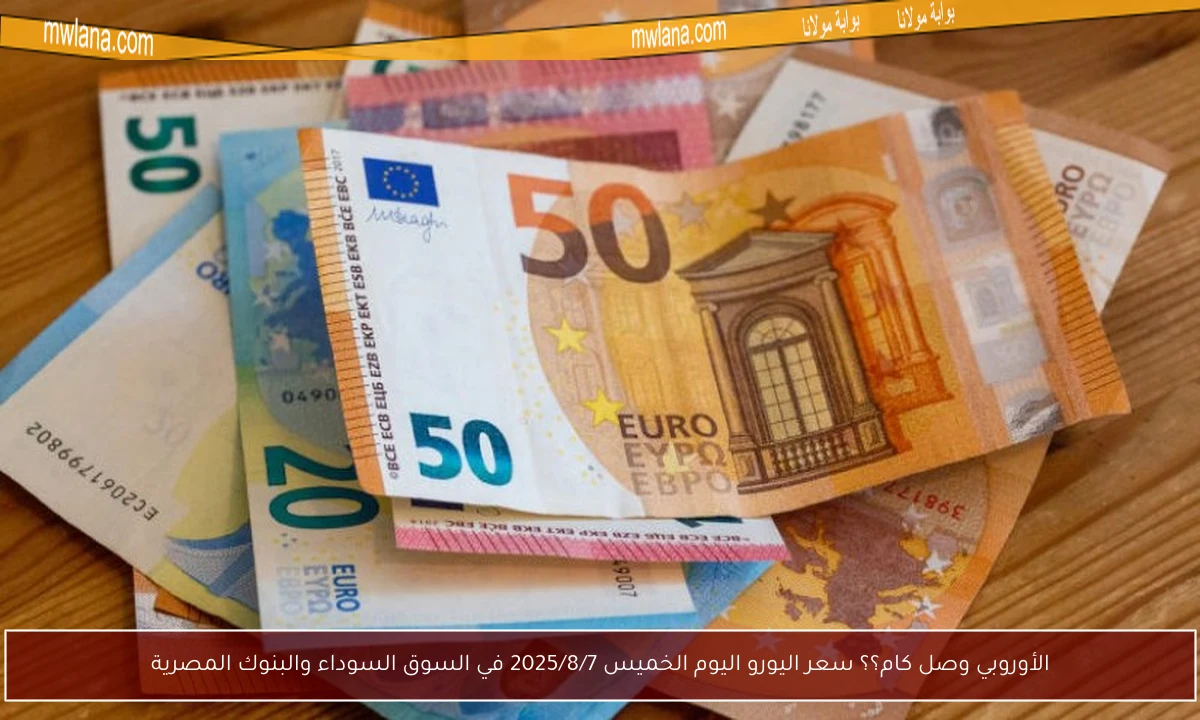 الأوروبي وصل كام؟؟ سعر اليورو اليوم الخميس 2025/8/7 في السوق السوداء والبنوك المصرية