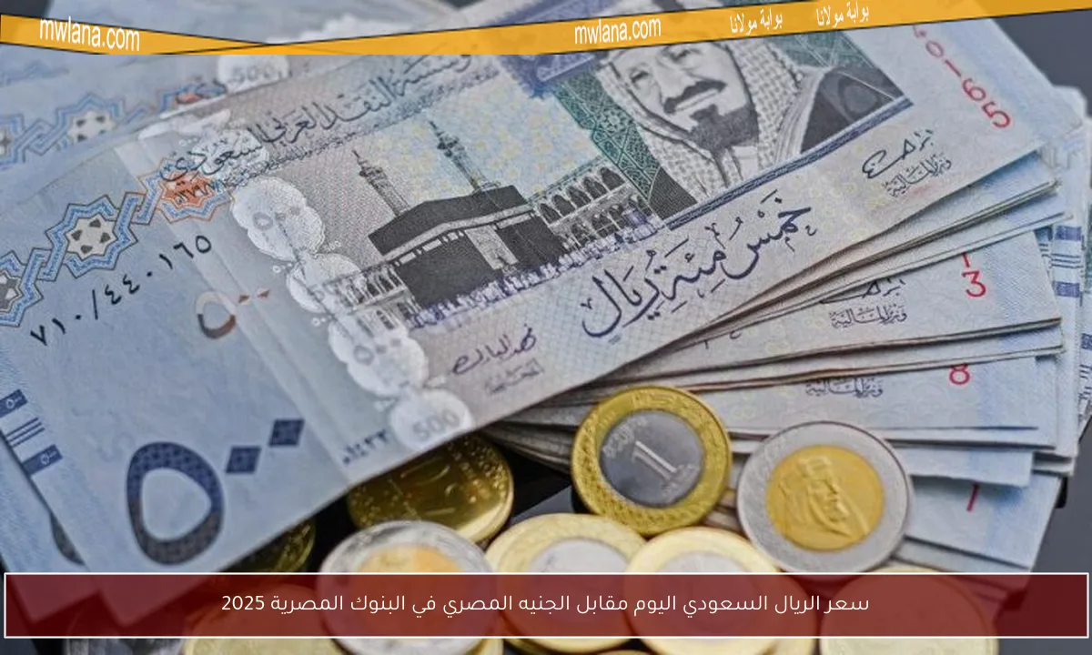 سعر الريال السعودي اليوم مقابل الجنيه المصري في البنوك المصرية 2025