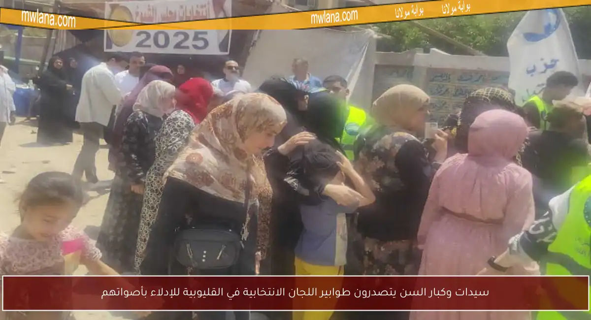 سيدات وكبار السن يتصدرون طوابير اللجان الانتخابية في القليوبية للإدلاء بأصواتهم