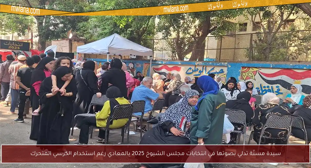 سيدة مسنّة تدلي بصوتها في انتخابات مجلس الشيوخ 2025 بالمعادي رغم استخدام الكرسي المتحرك