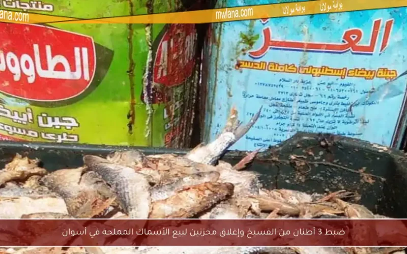 ضبط 3 أطنان من الفسيخ وإغلاق مخزنين لبيع الأسماك المملحة في أسوان