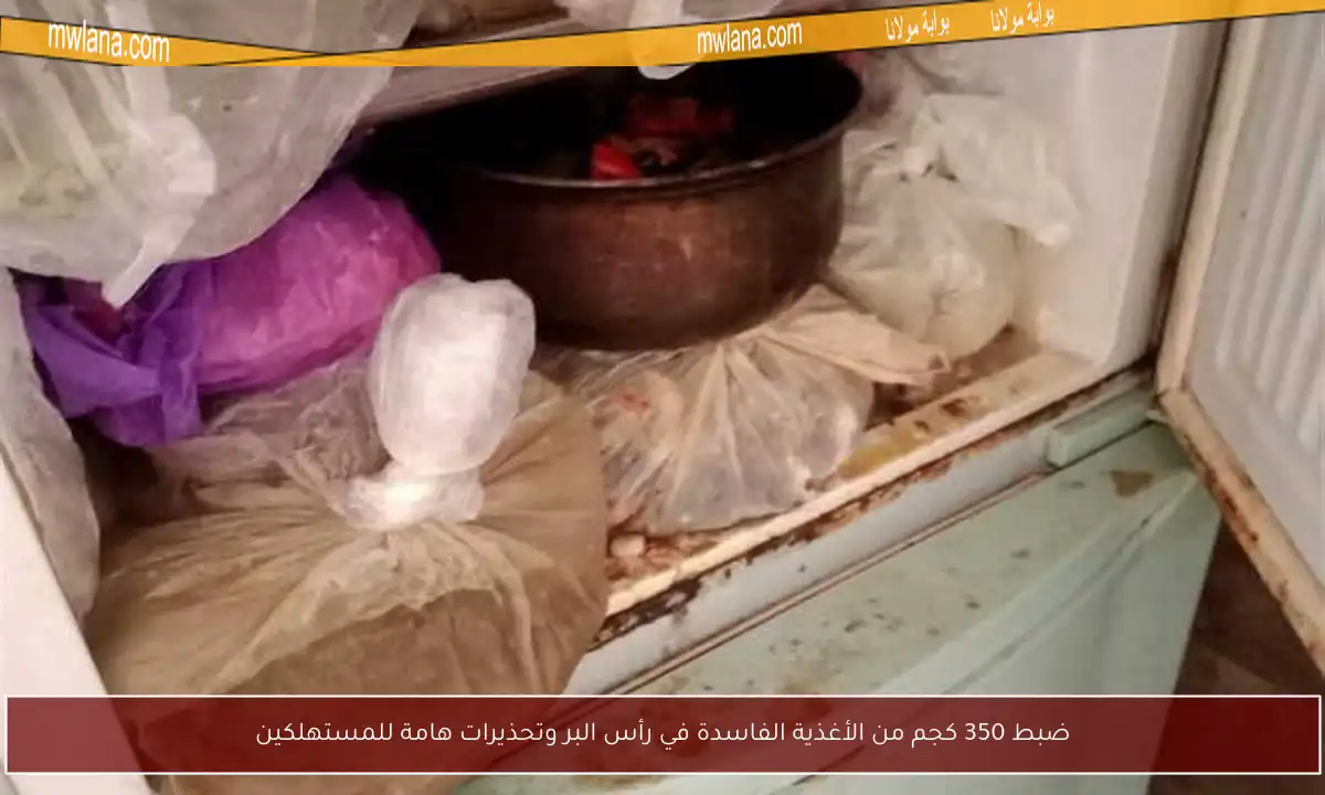 ضبط 350 كجم من الأغذية الفاسدة في رأس البر وتحذيرات هامة للمستهلكين