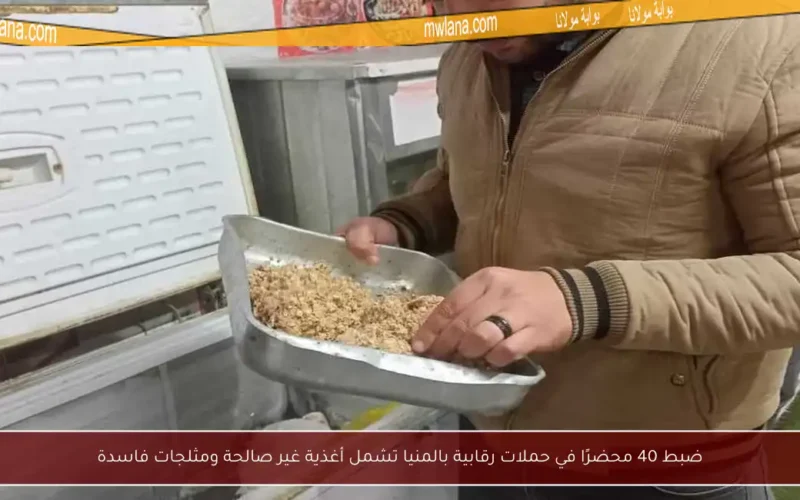 ضبط 40 محضرًا في حملات رقابية بالمنيا تشمل أغذية غير صالحة ومثلجات فاسدة