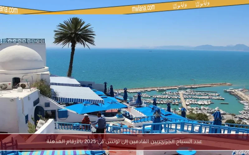 عدد السياح الجزائريين القادمين إلى تونس في 2025 بالأرقام المذهلة