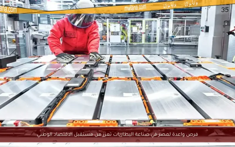 فرص واعدة لمصر في صناعة البطاريات تعزز من مستقبل الاقتصاد الوطني